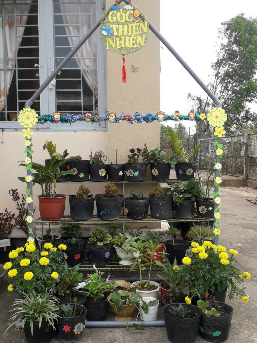 VƯỜN RAU HOA CỦA BÉ TRƯỜNG MẦM NON HOA HỒNG